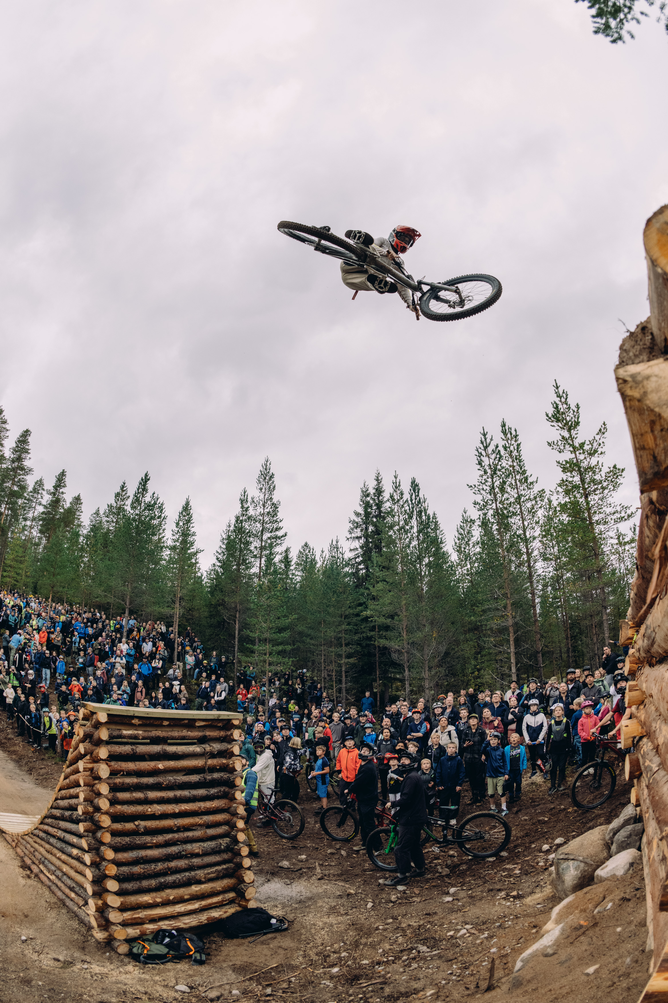 Tess downhill MTB photo 3