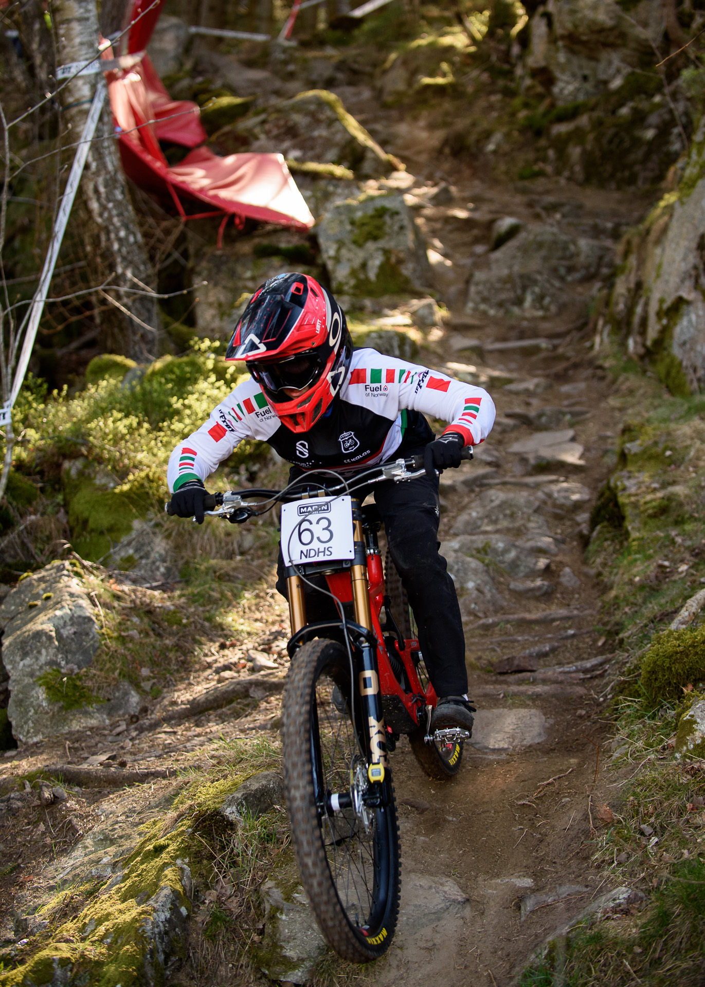 Tess downhill MTB photo 7