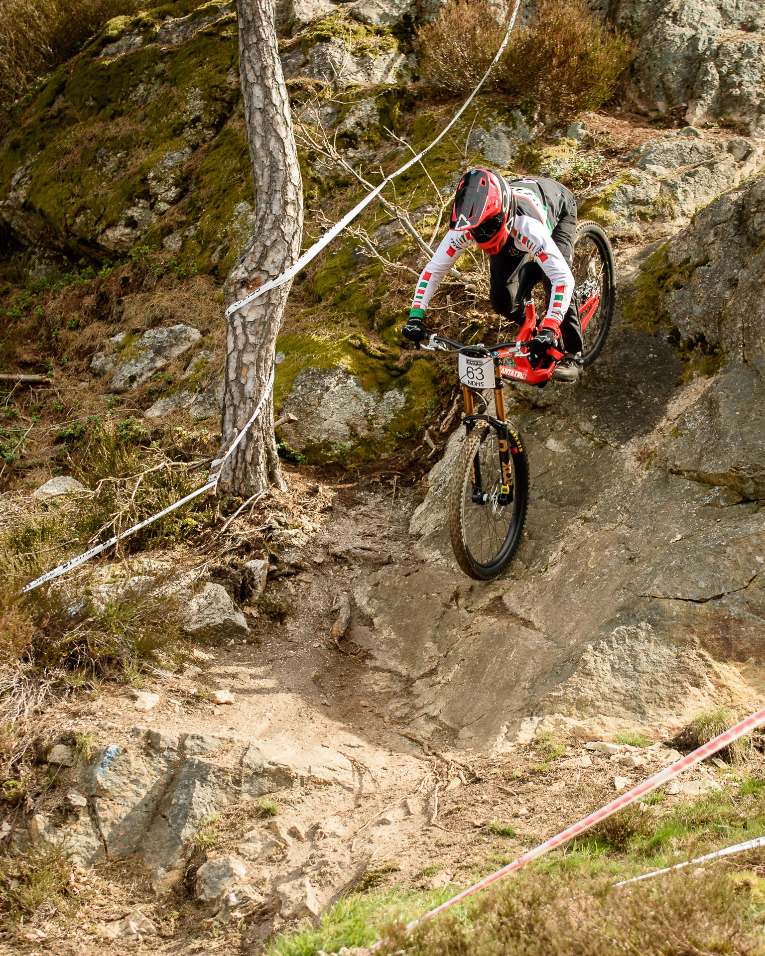 Tess downhill MTB photo 10